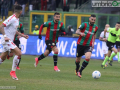 ternana bariIMG_3160foto A.Mirimao