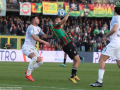 Ternana-Benevento-foto-Mirimao-5-marzo-2023-12