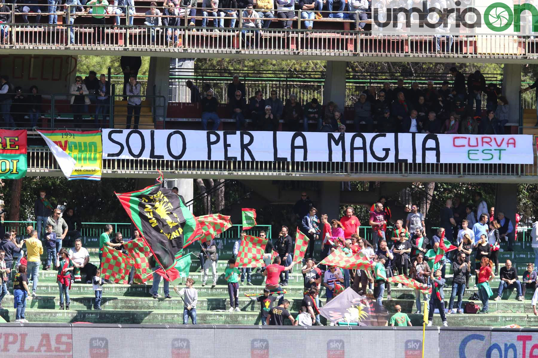 Ternana-Carpi-Foto-A.Mirimao1