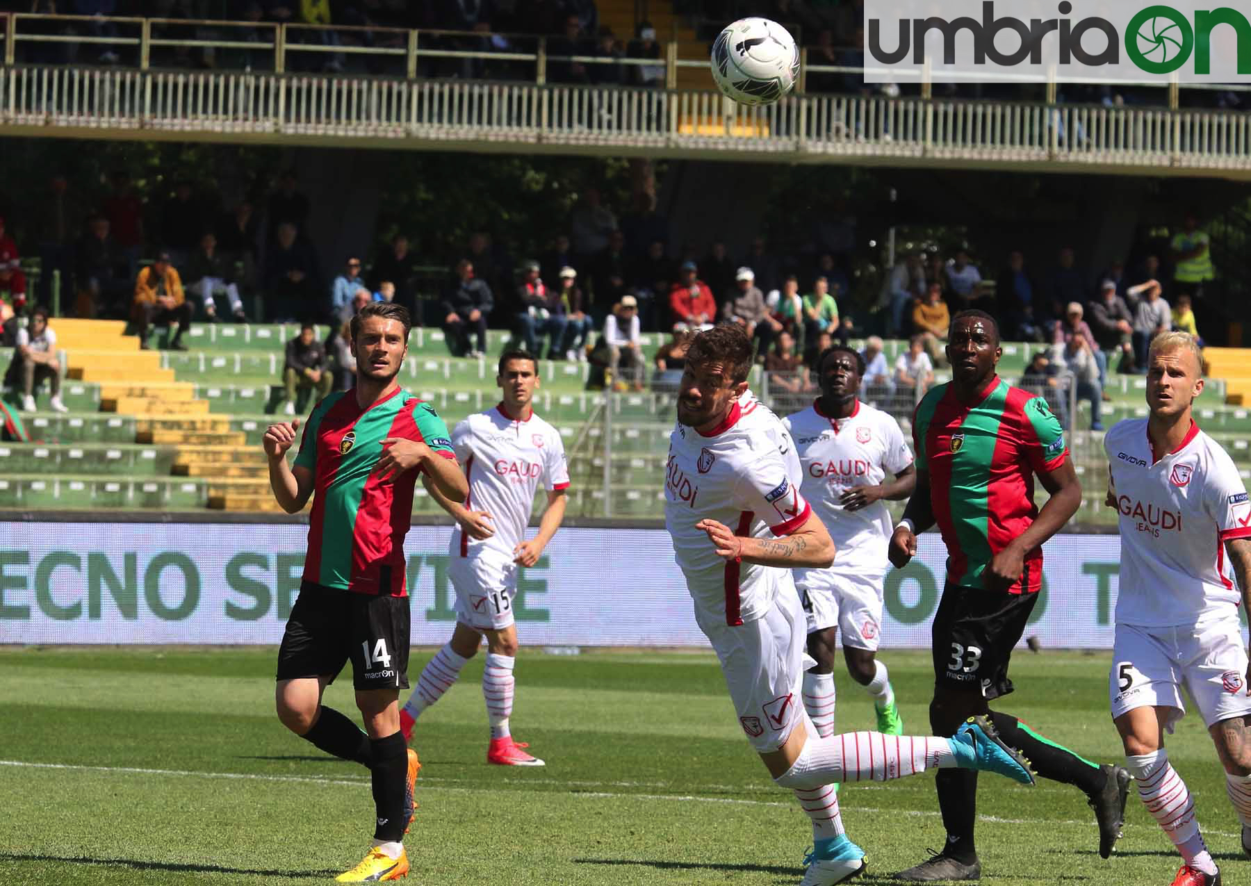 Ternana-Carpi-Foto-A.Mirimao13