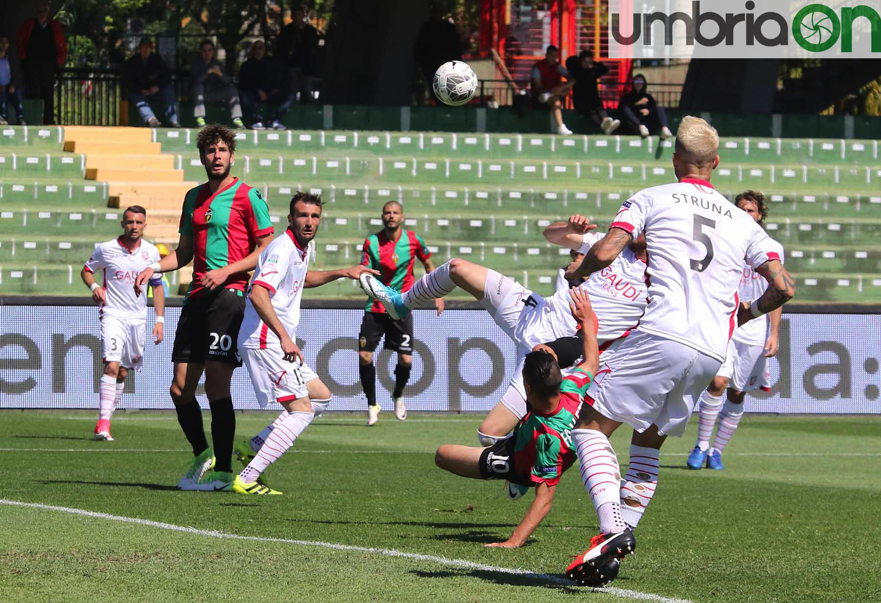 Ternana-Carpi-Foto-A.Mirimao16