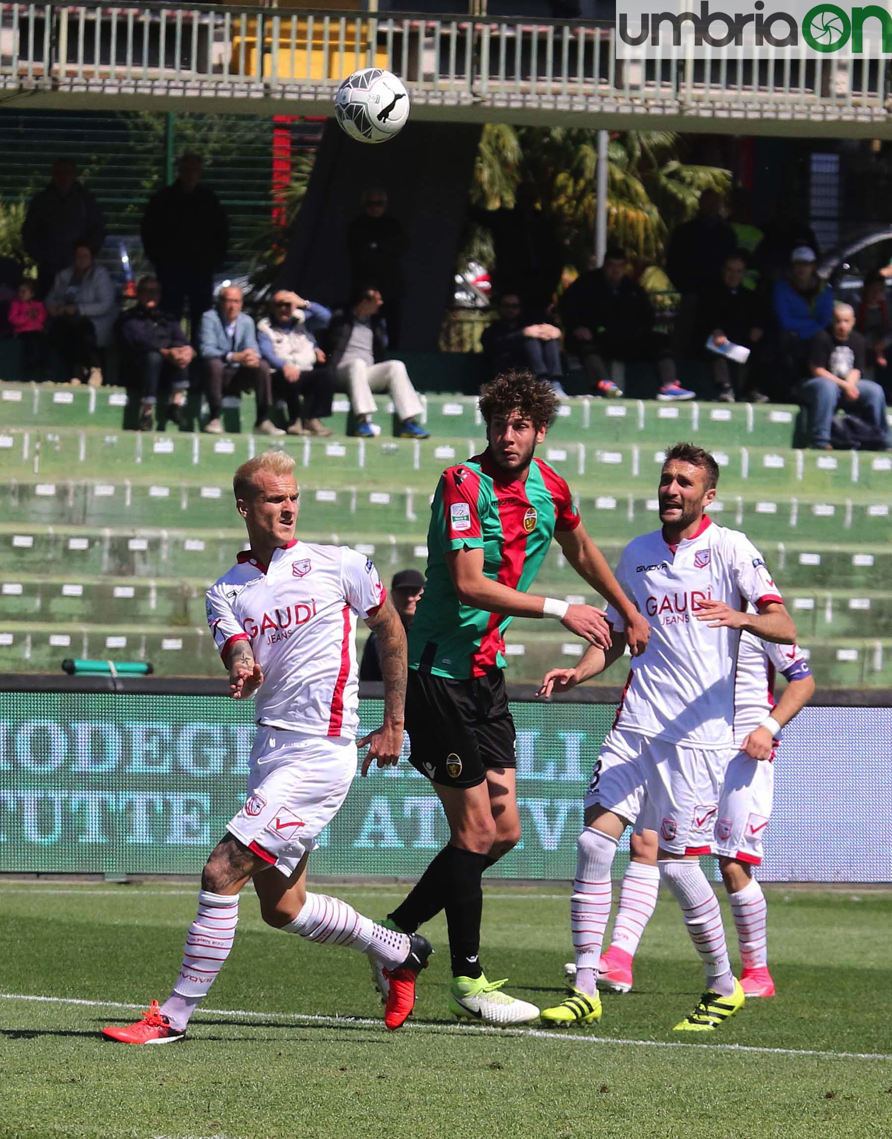 Ternana-Carpi-Foto-A.Mirimao18