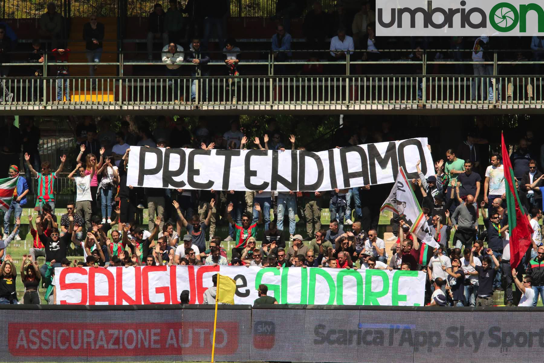 Ternana-Carpi-Foto-A.Mirimao2