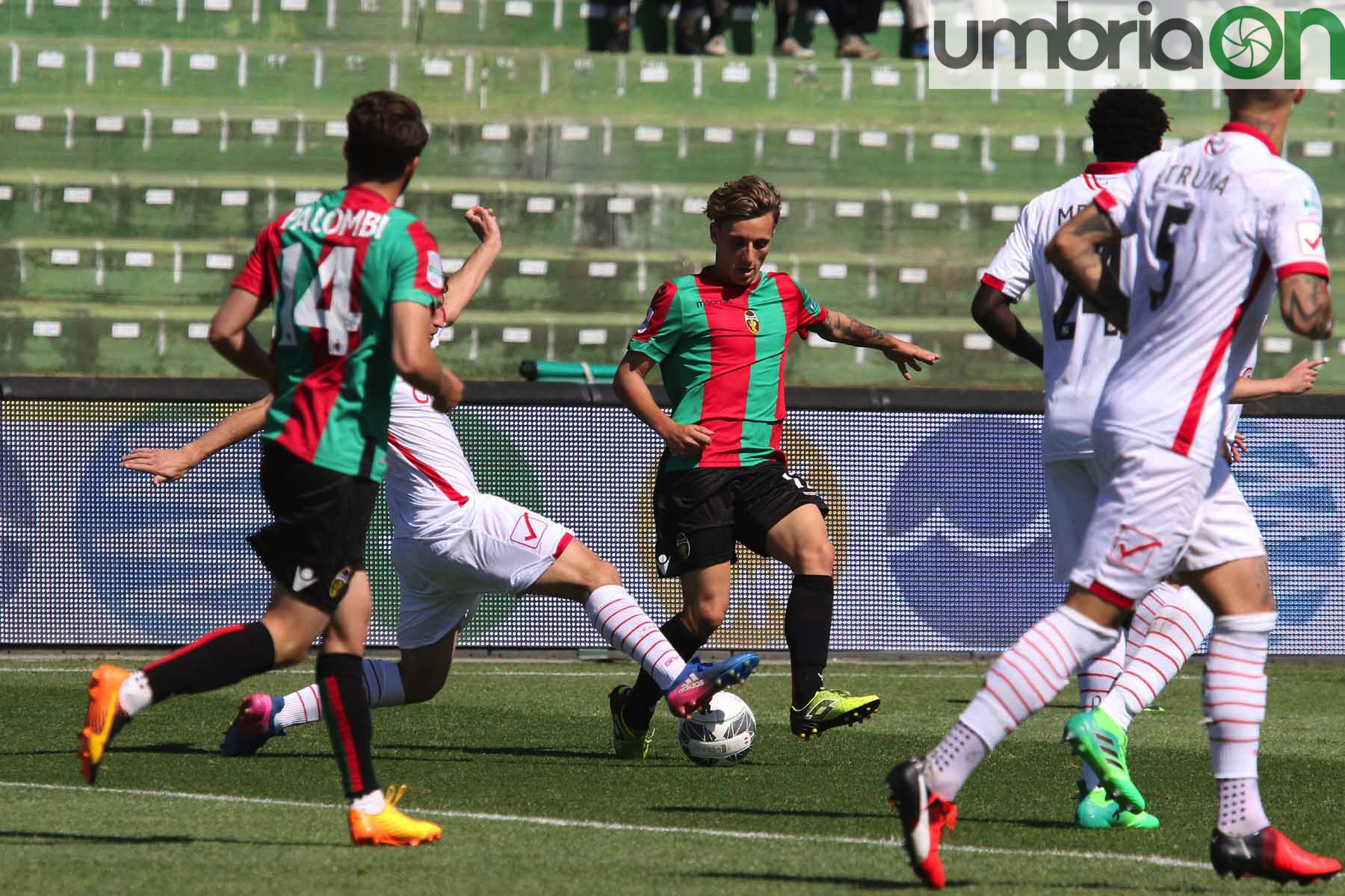 Ternana-Carpi-Foto-A.Mirimao23