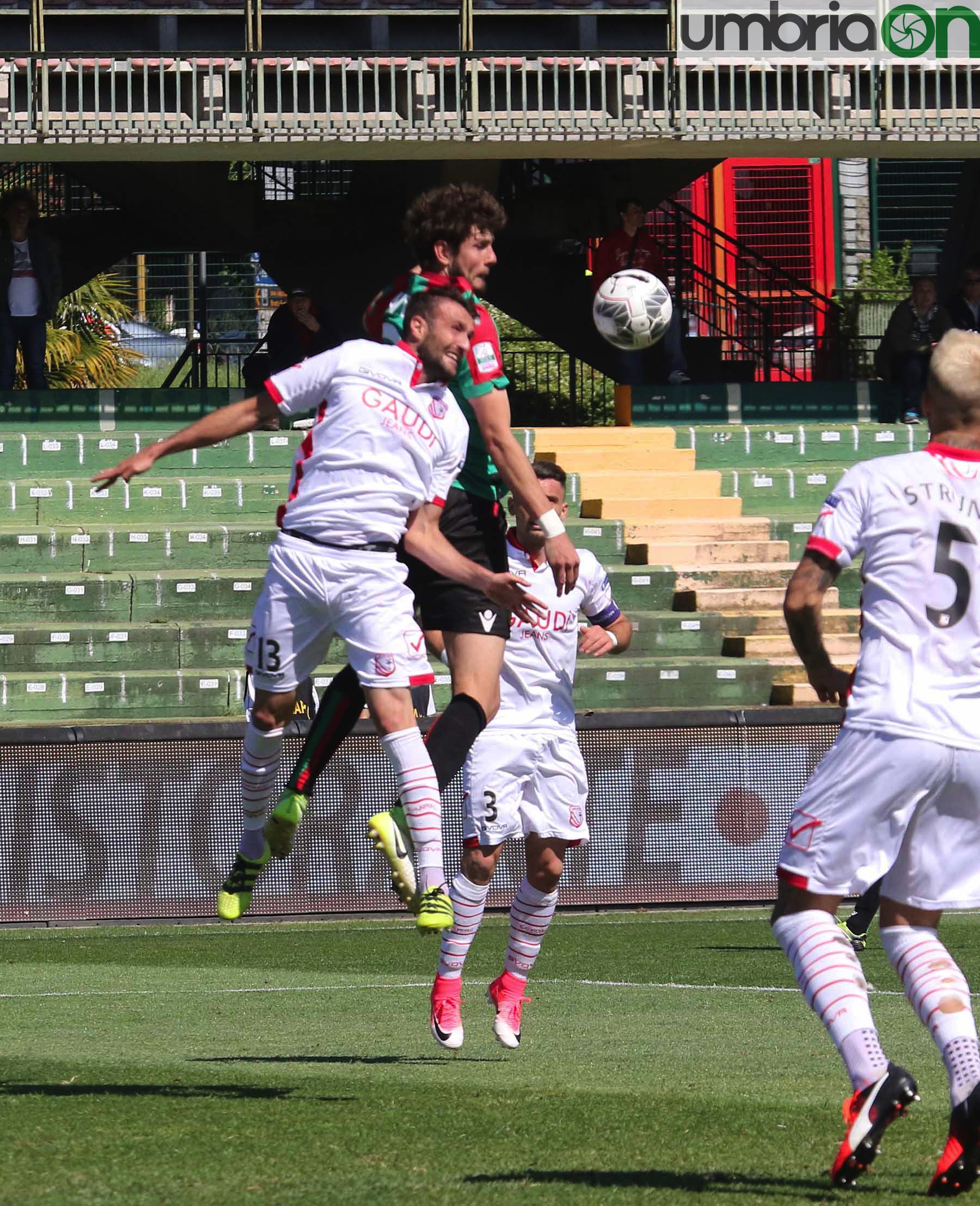 Ternana-Carpi-Foto-A.Mirimao24