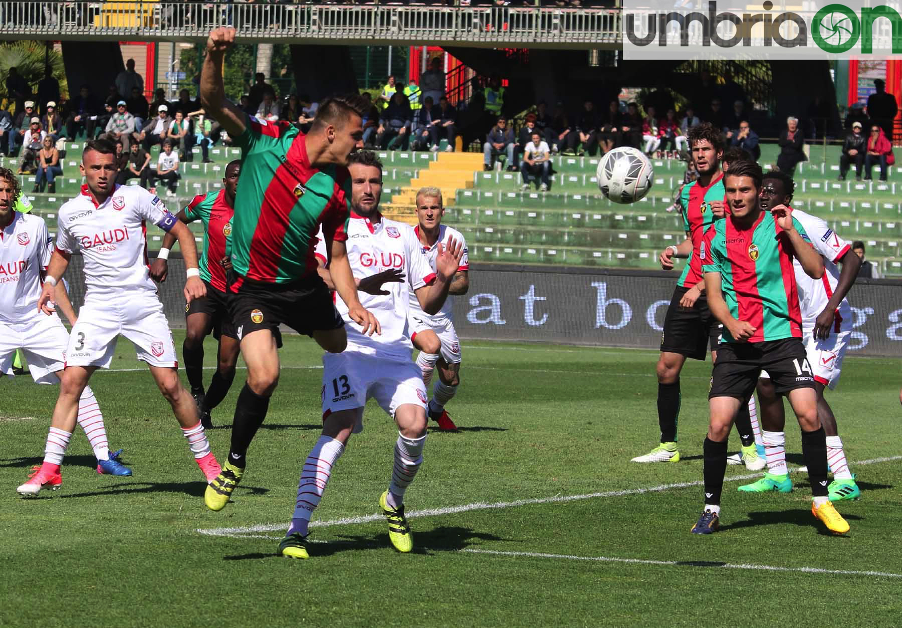 Ternana-Carpi-Foto-A.Mirimao31