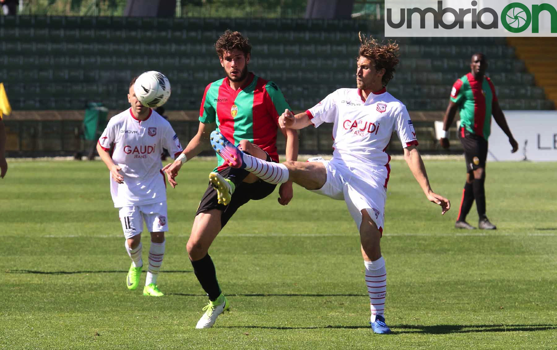 Ternana-Carpi-Foto-A.Mirimao33