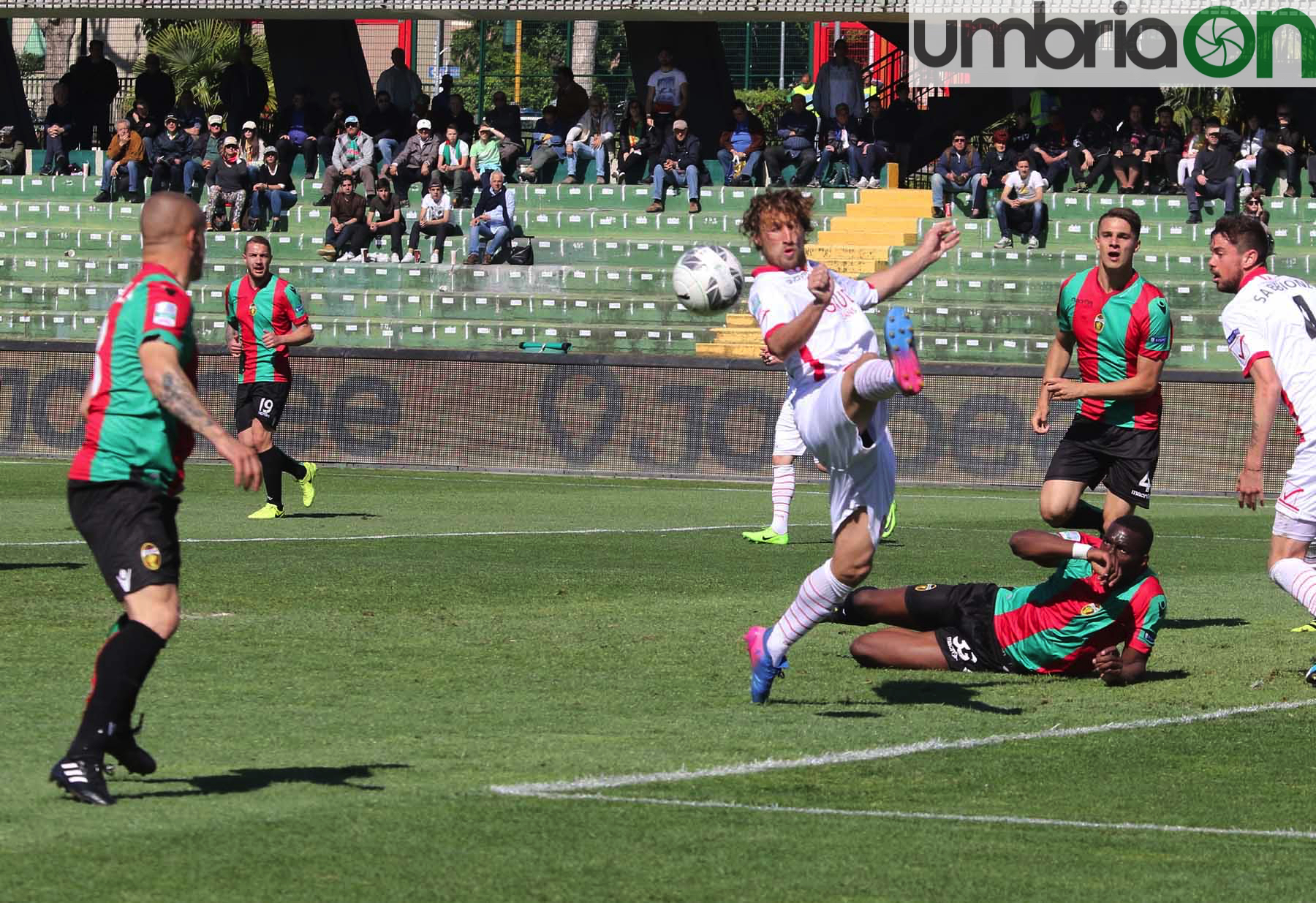 Ternana-Carpi-Foto-A.Mirimao35