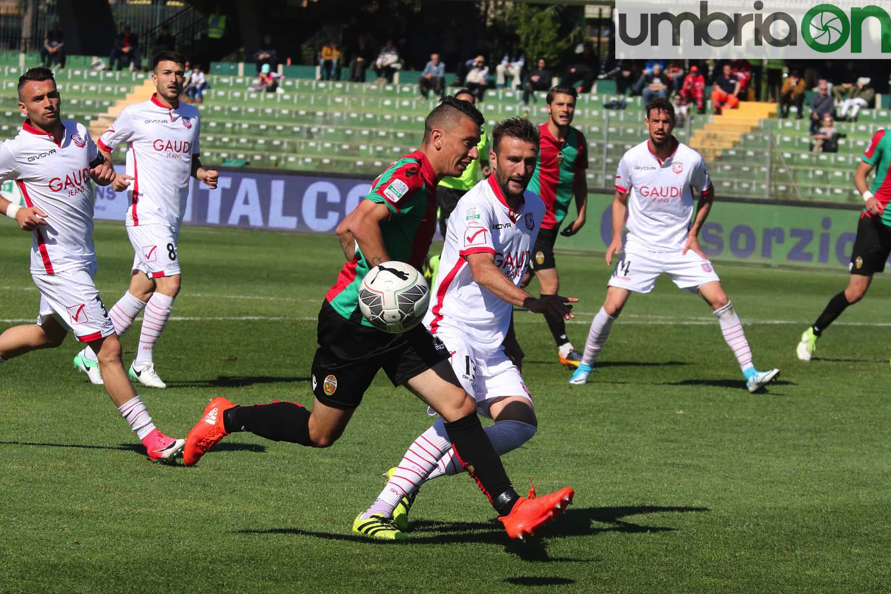 Ternana-Carpi-Foto-A.Mirimao37