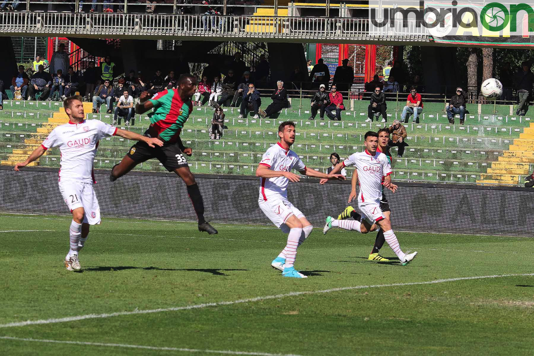 Ternana-Carpi-Foto-A.Mirimao40