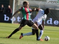 ternana cesena_9107- A.Mirimao on