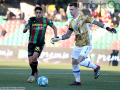 Ternana-Como, 3 febbraio 2024 (Foto Mirimao) (8)