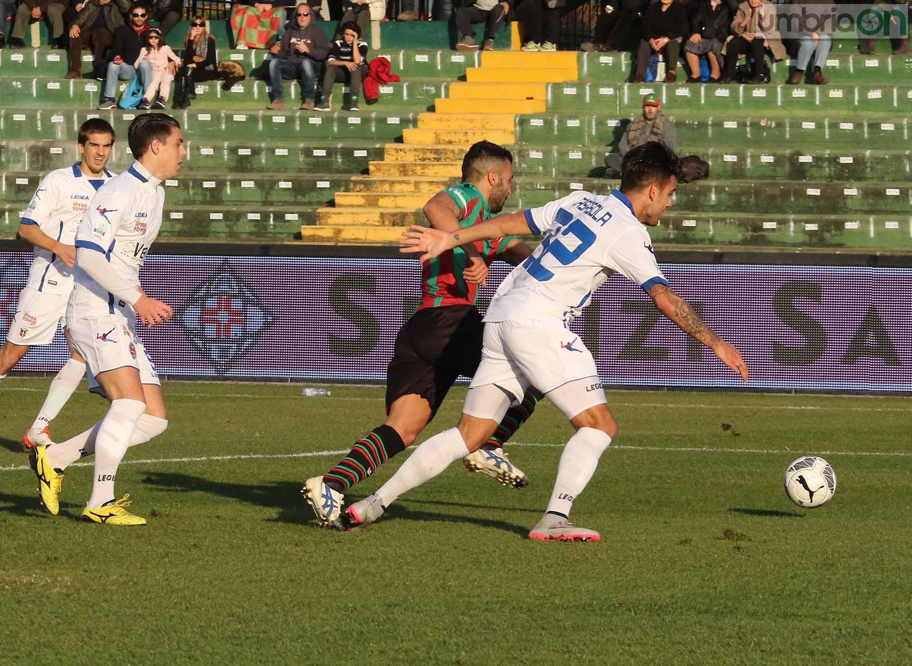 Ternana-Como foto A.Mirimao  (13)