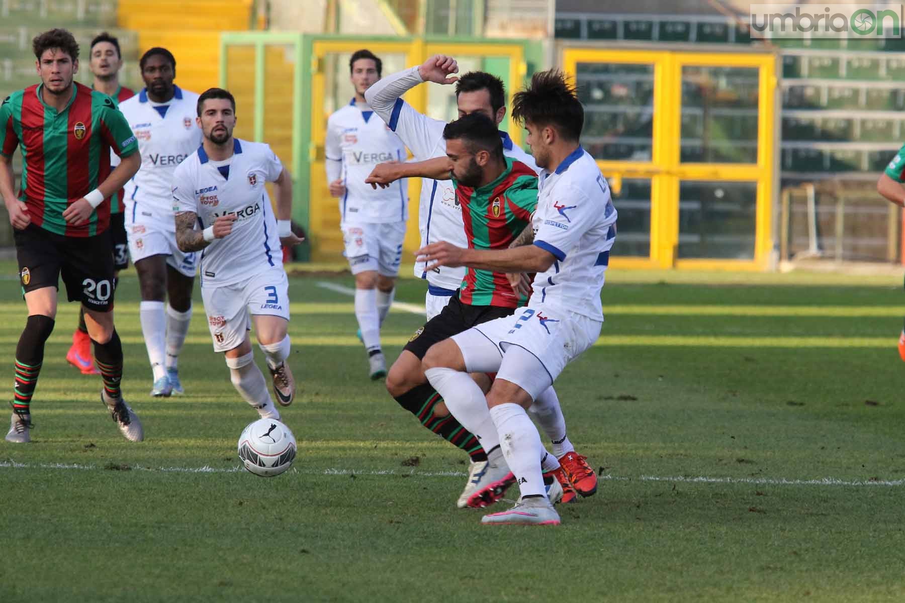 Ternana-Como foto A.Mirimao  (14)