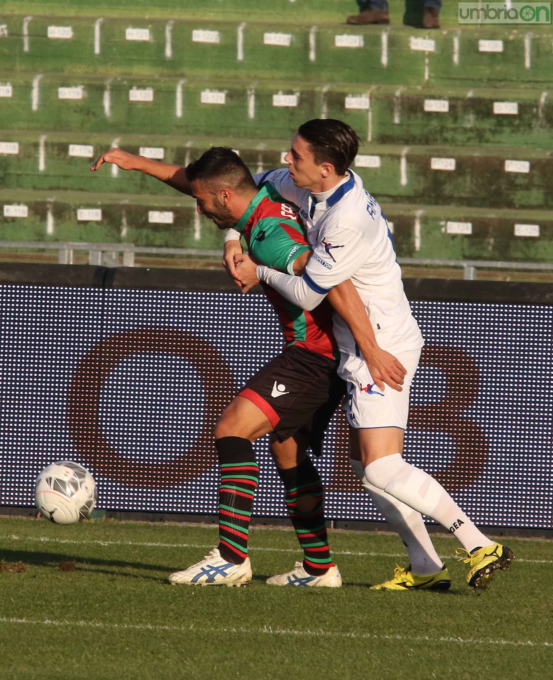 Ternana-Como foto A.Mirimao  (15)