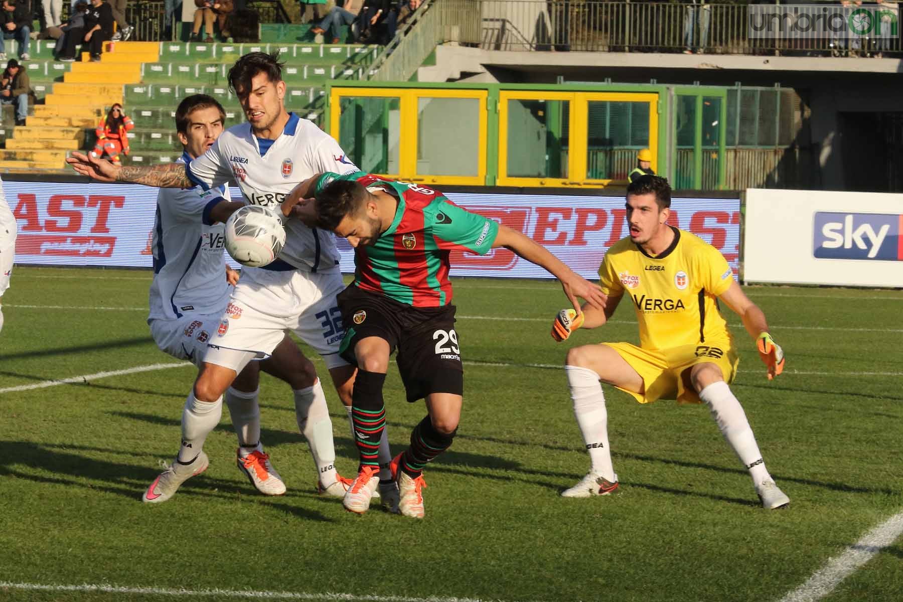 Ternana-Como foto A.Mirimao  (3)