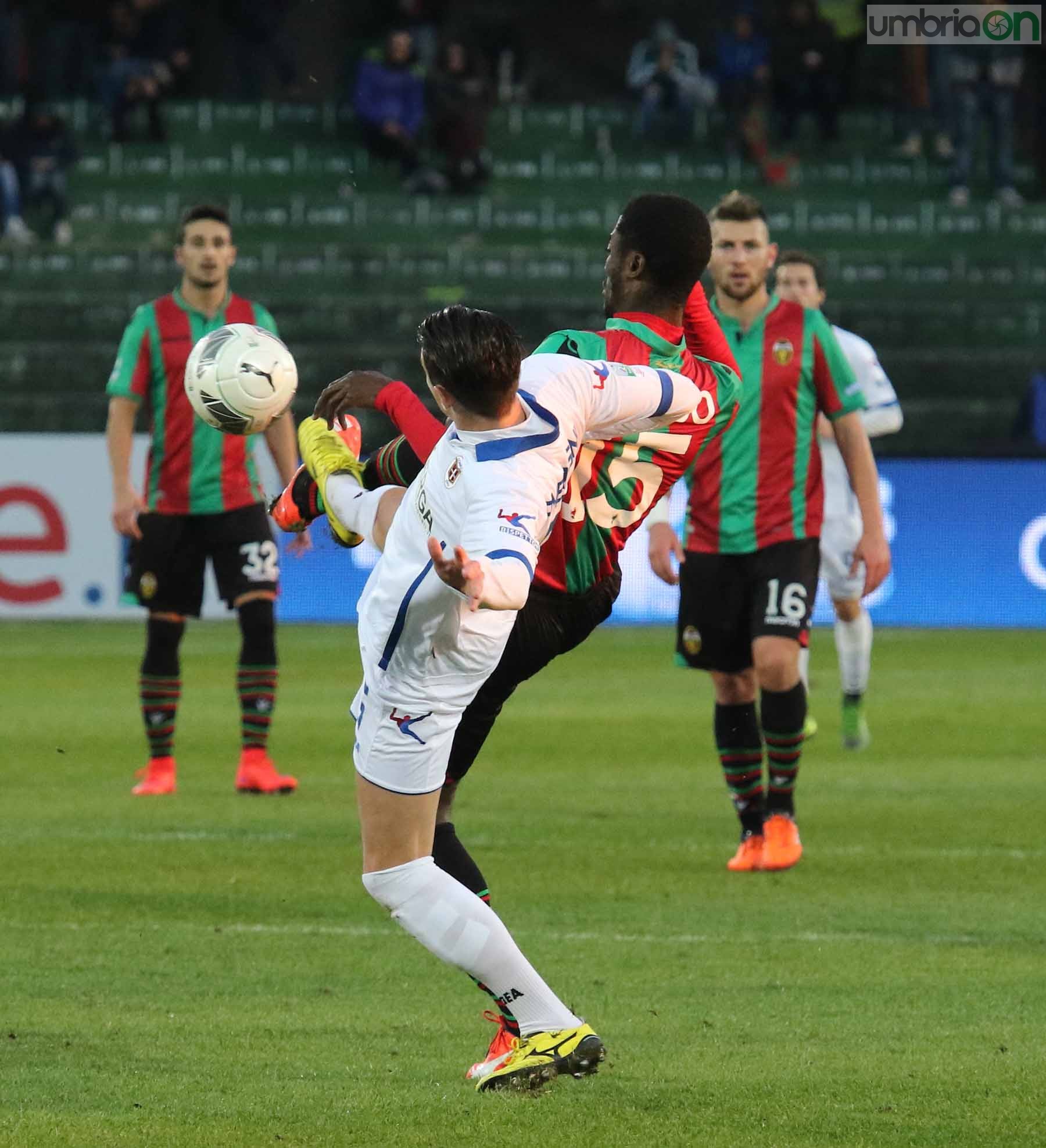 Ternana-Como foto A.Mirimao  (33)