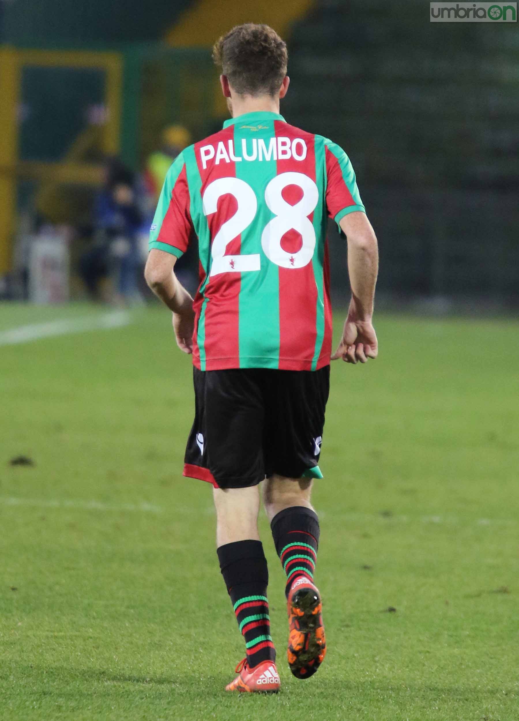 Ternana-Como foto A.Mirimao  (39)