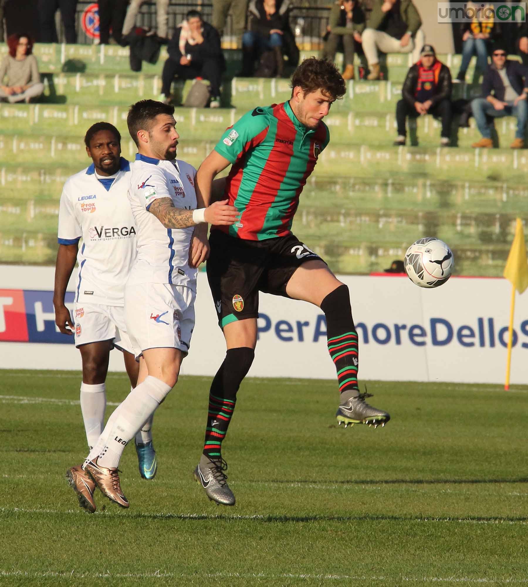 Ternana-Como foto A.Mirimao  (6)