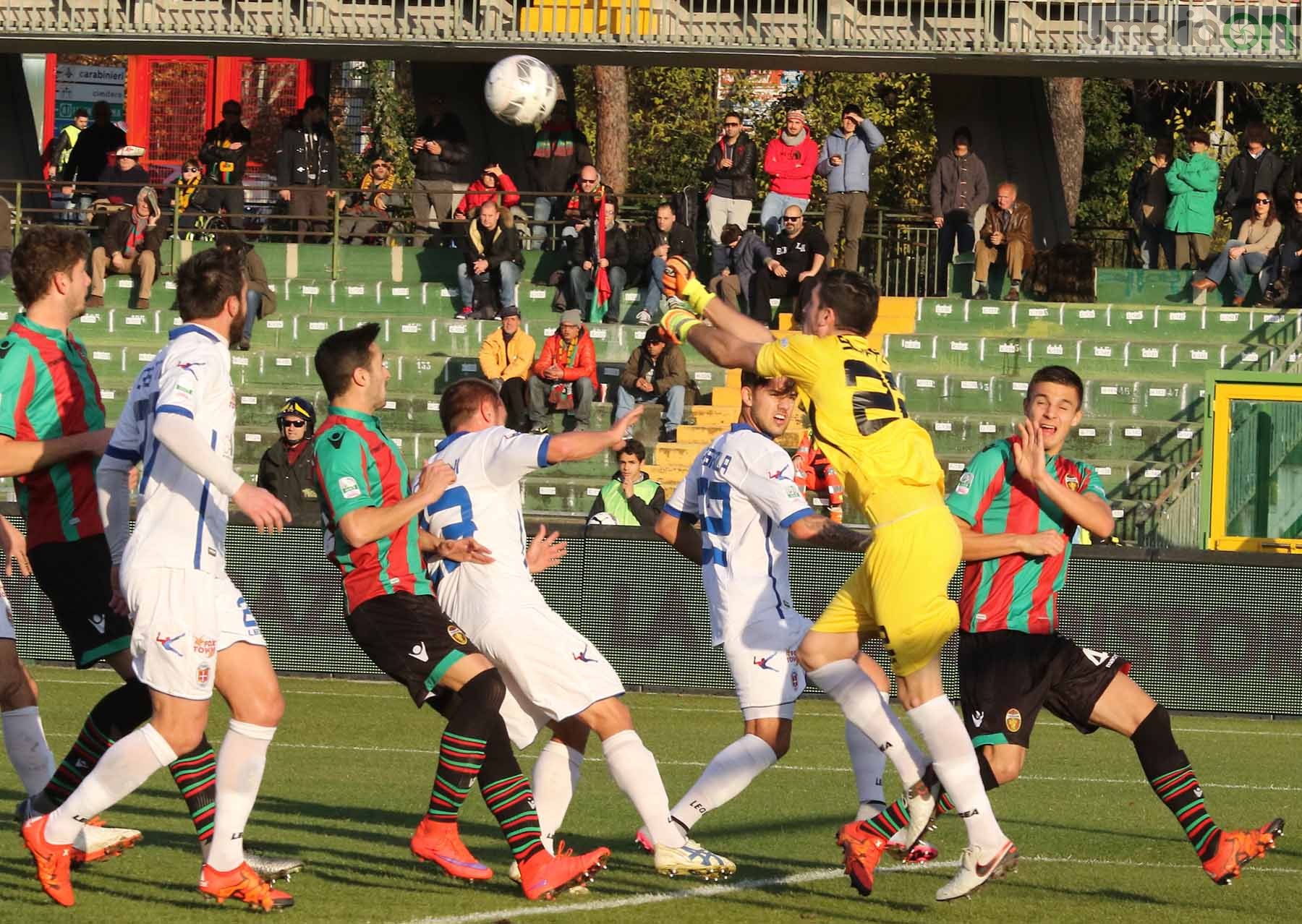 Ternana-Como foto A.Mirimao  (9)