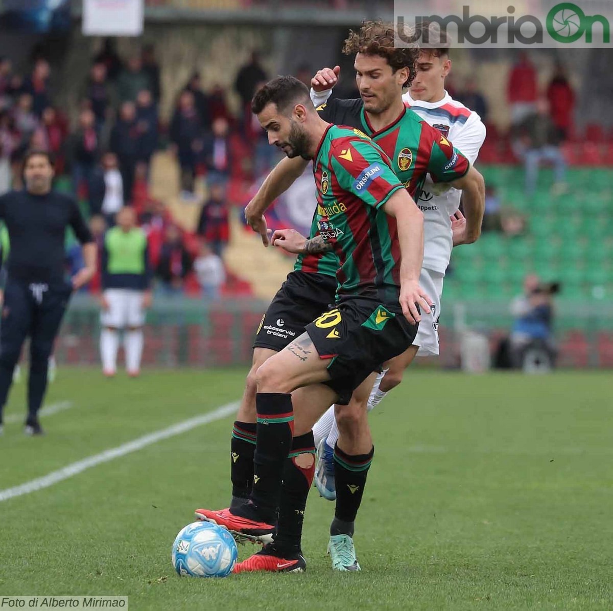 Ternana-Cosenza 1-0 - 16 marzo 2024 (foto Mirimao) (22)