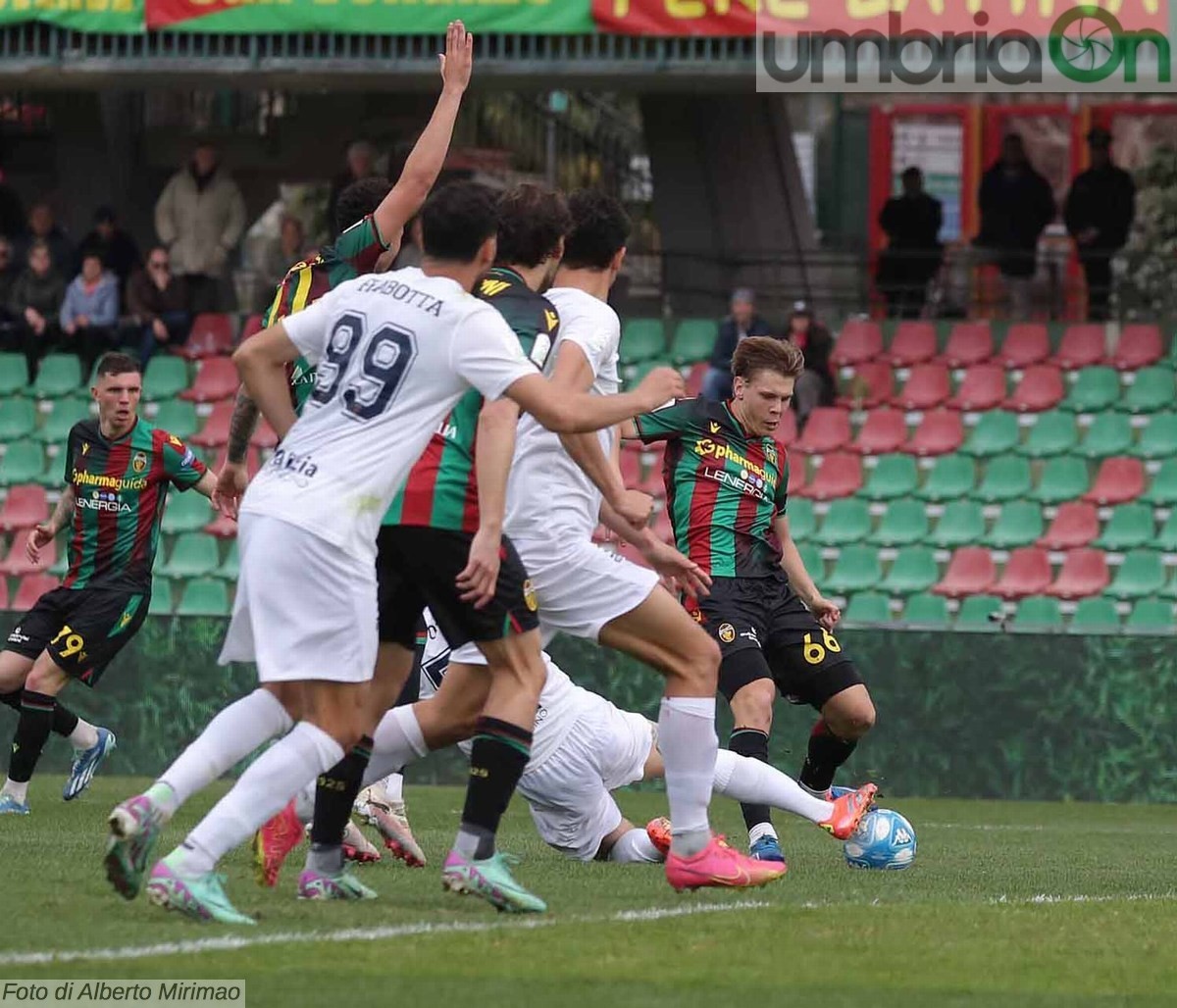 Ternana-Cosenza 1-0 - 16 marzo 2024 (foto Mirimao) (40)