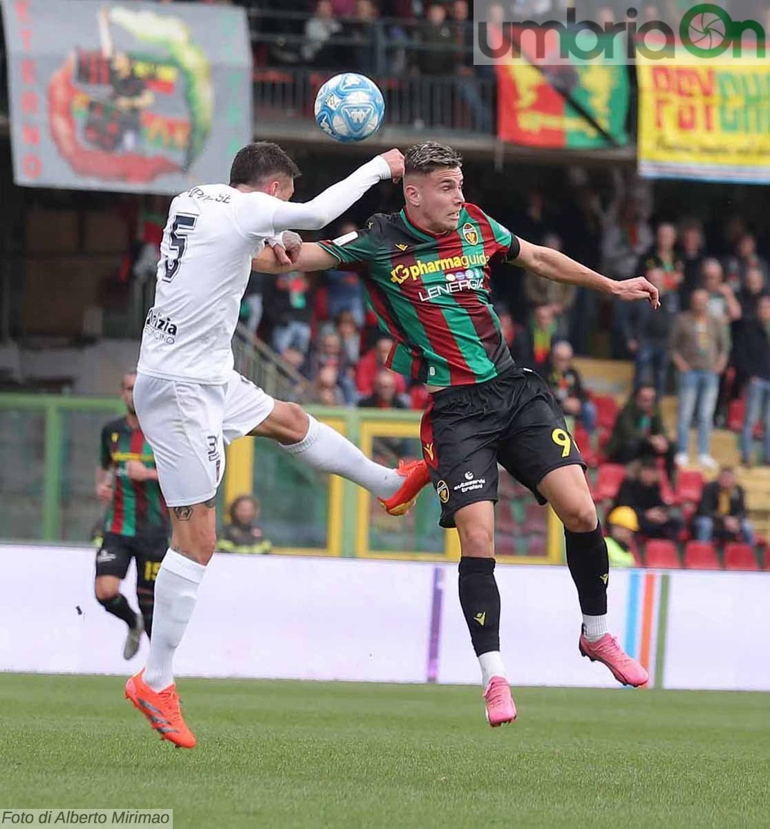 Ternana-Cosenza 1-0 - 16 marzo 2024 (foto Mirimao) (44)