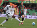 Ternana-Cosenza 1-0 - 16 marzo 2024 (foto Mirimao) (42)