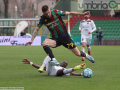 Ternana-Cosenza 1-0 - 16 marzo 2024 (foto Mirimao) (46)