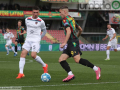 Ternana-Cosenza 1-0 - 16 marzo 2024 (foto Mirimao) (64)