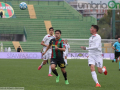 Ternana-Cosenza 1-0 - 16 marzo 2024 (foto Mirimao) (9)