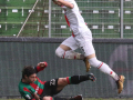 ternana cremonese _3595 A.Mirimao