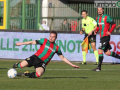 ternana entellaIMG_1877-foto A.Mirimao