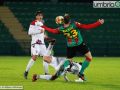 Ternana-FoggiaL8775-A.Mirimao-