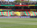 ternana frosinone_4840- A.Mirimao