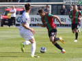 ternana frosinone_5131- A.Mirimao