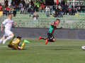 ternana frosinone_5293- A.Mirimao