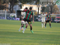 Ternana-Lucchese-17-novembre-2024-foto-Mirimao-25