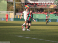 Ternana-Lucchese-17-novembre-2024-foto-Mirimao-45