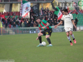 Ternana-Lucchese-17-novembre-2024-foto-Mirimao-46