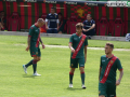 Ternana-Narnese - AmichevoleP1210550 Gallo (FILEminimizer)