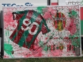 ternana novara_9588- Mirimao  Longarini Quadro