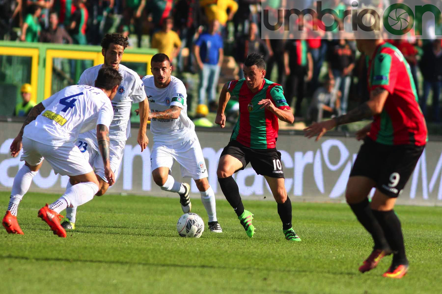 Ternana-Novara Mirimao14