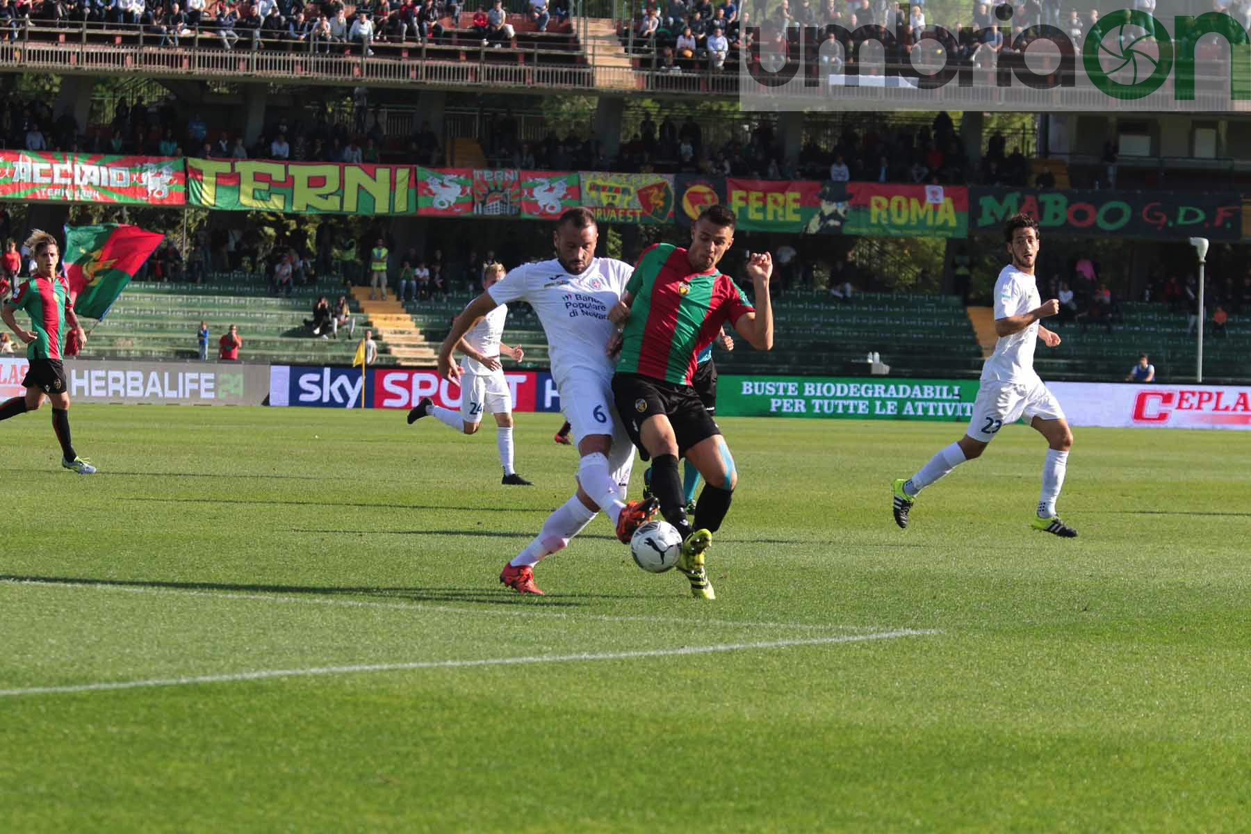 Ternana-Novara Mirimao19