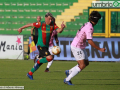 Ternana Palermo L7226- A.Mirimao