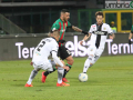 Ternana Parma _2818-foto A.Mirimao