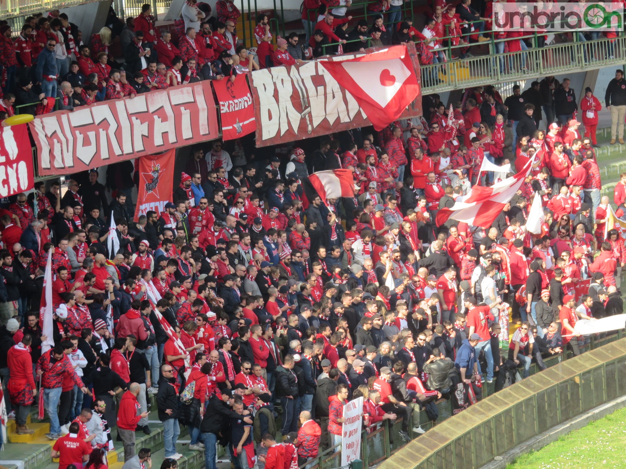 ingrifati perugia ternana derby222