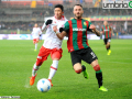 Ternana Perugia derby han signorini (1)