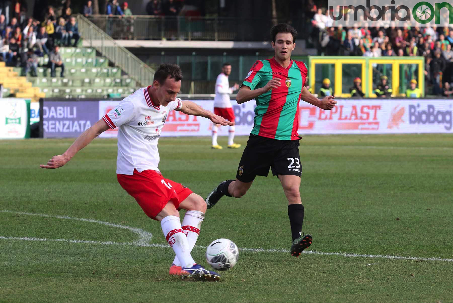 Ternana-Perugia13-foto-A.Mirimao