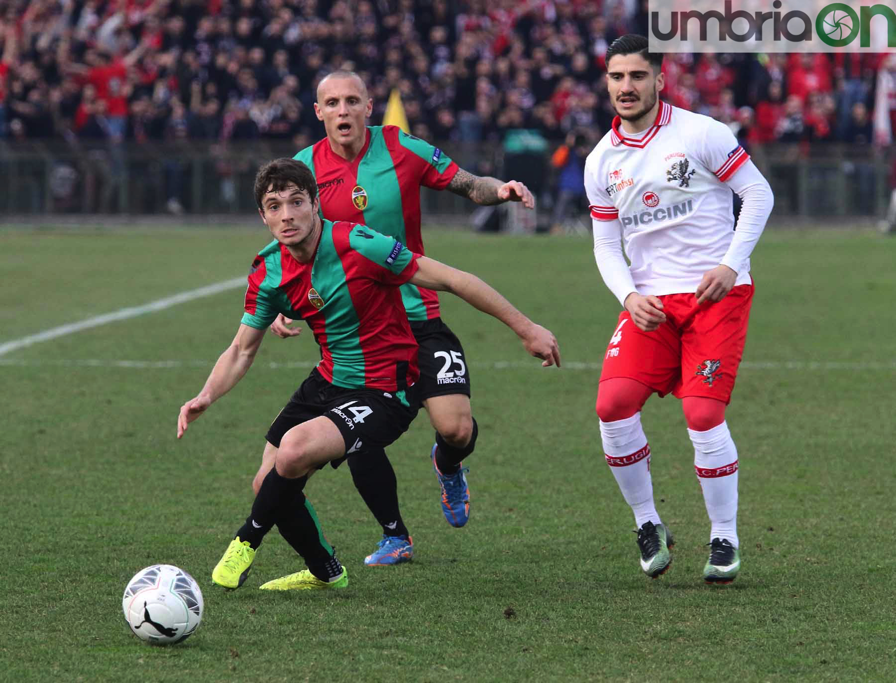 Ternana-Perugia27-foto-A.Mirimao